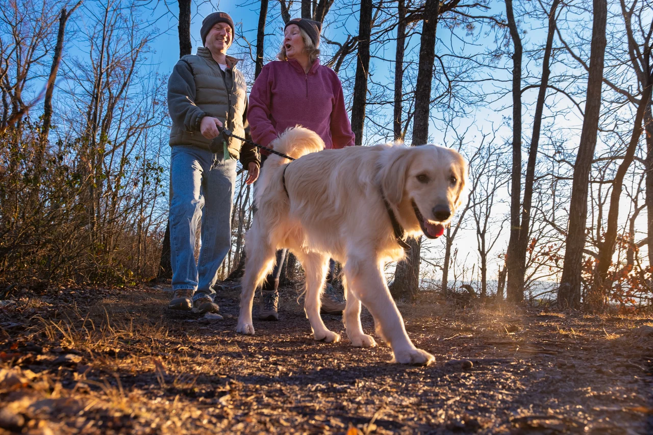 Massanutten dog friendly hiking golden retriever trail