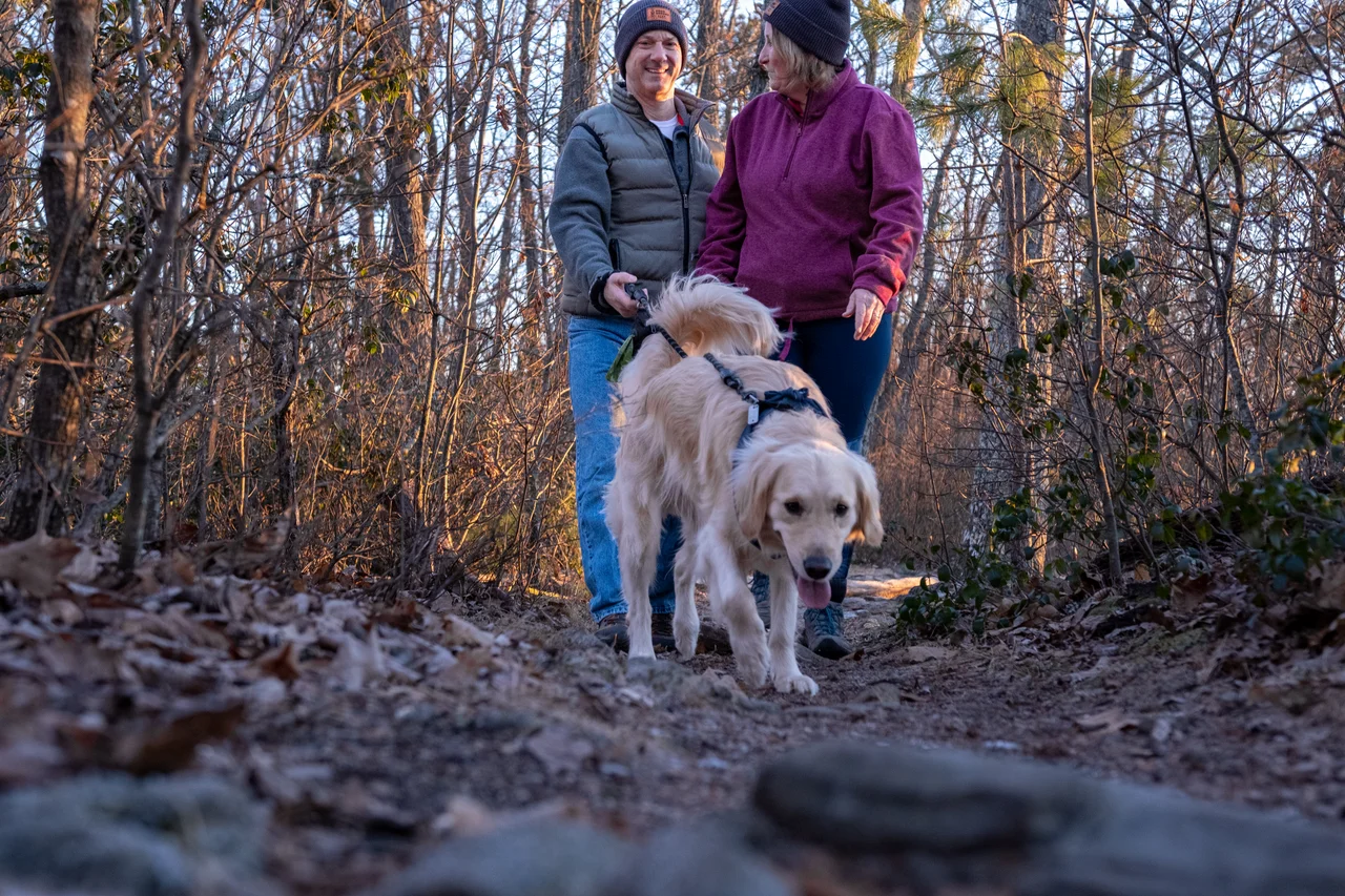 Massanutten dog friendly hiking golden retriever