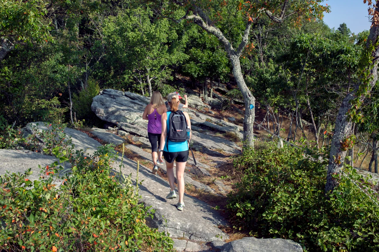 Massanutten hiking woodland trail hikers