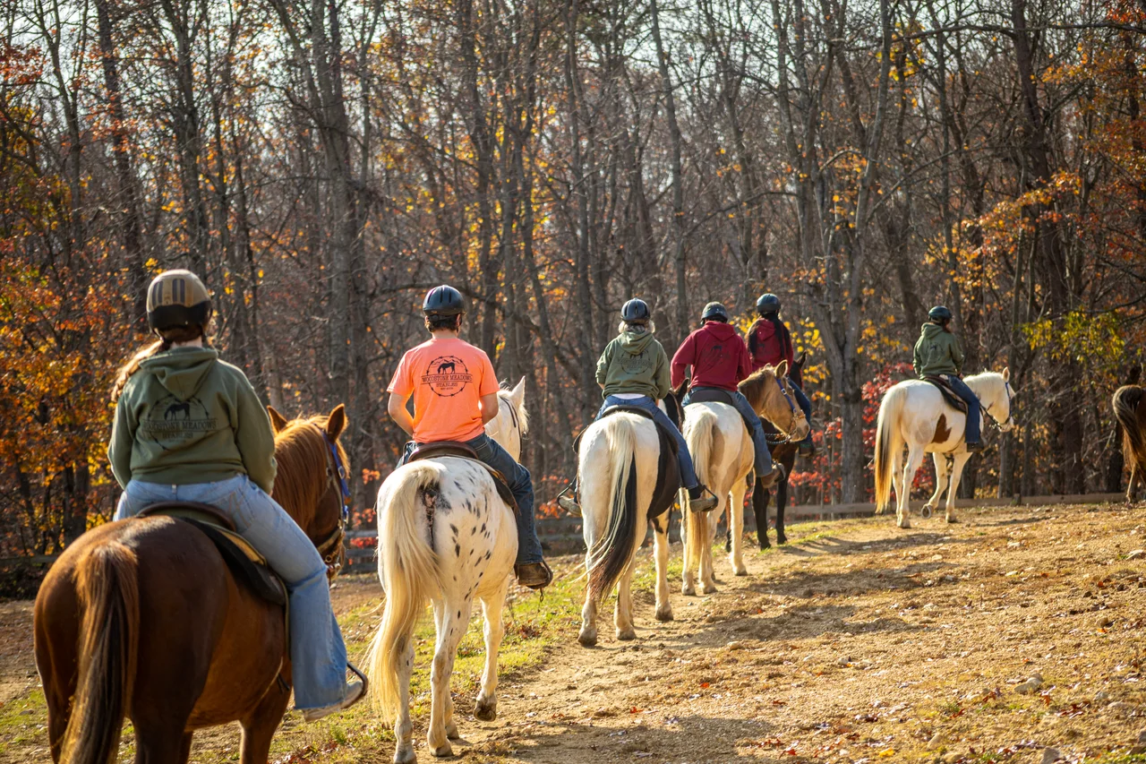 Massanutten horseback riding group forest trail