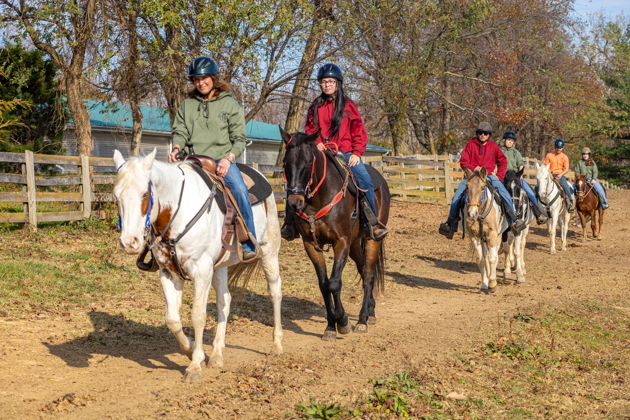 Massanutten horseback riding group trail ride