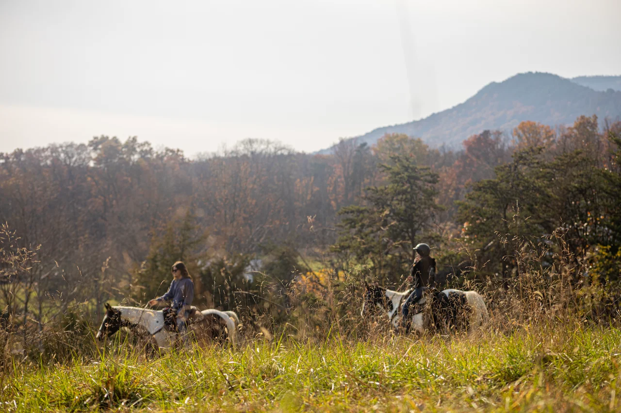 Massanutten horseback riding mountain view