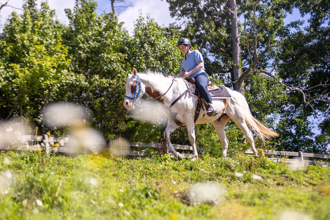Massanutten horseback riding rider white horse