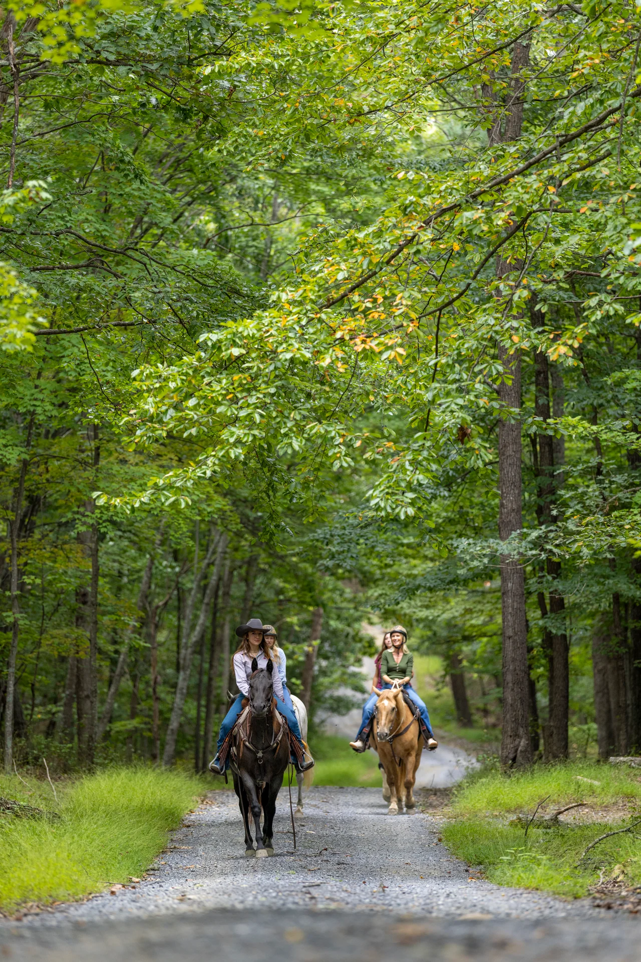 Massanutten horseback riding riders shaded forest path
