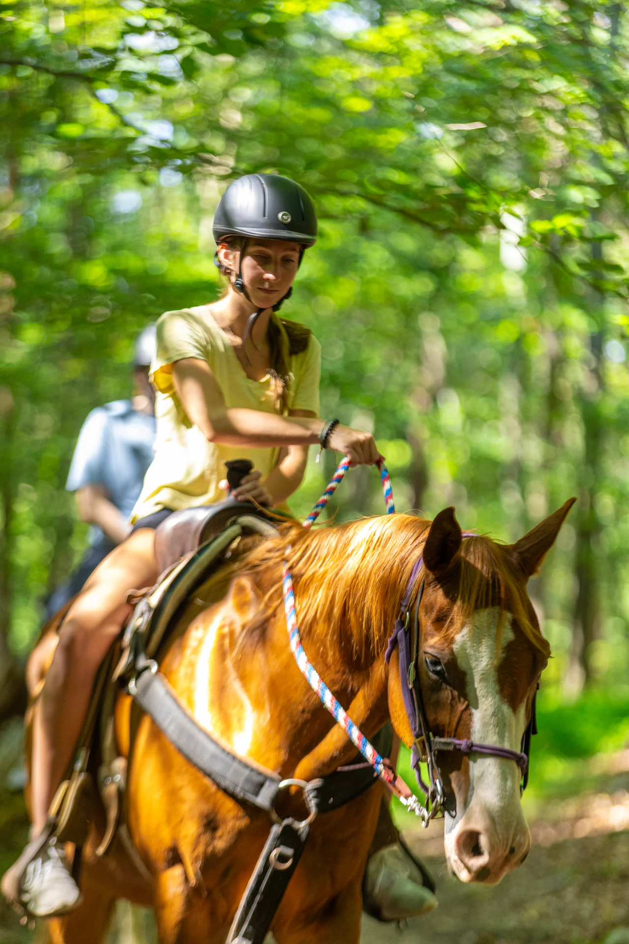 Massanutten horseback riding trail rider