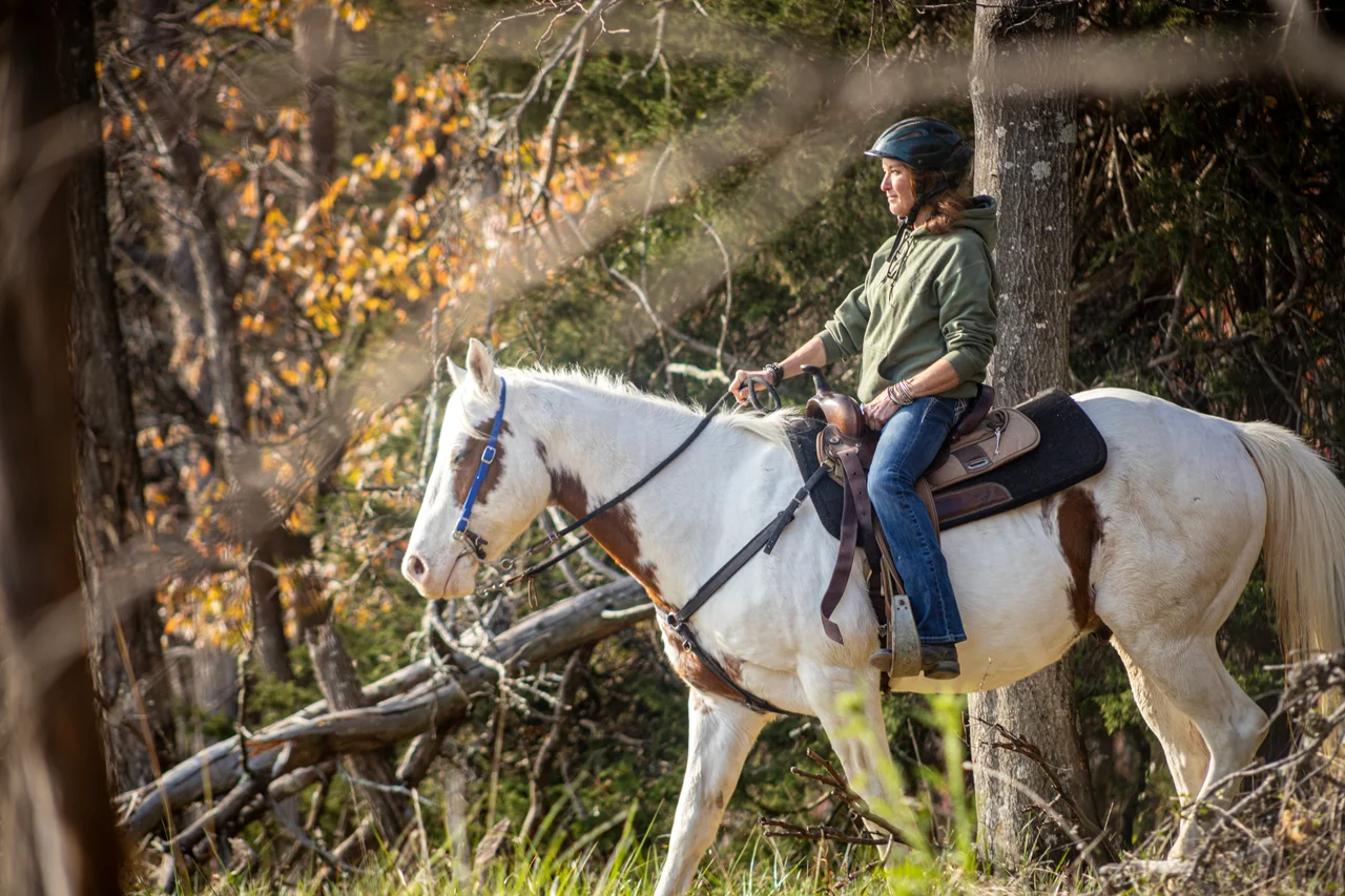 Massanutten horseback riding woodland trail