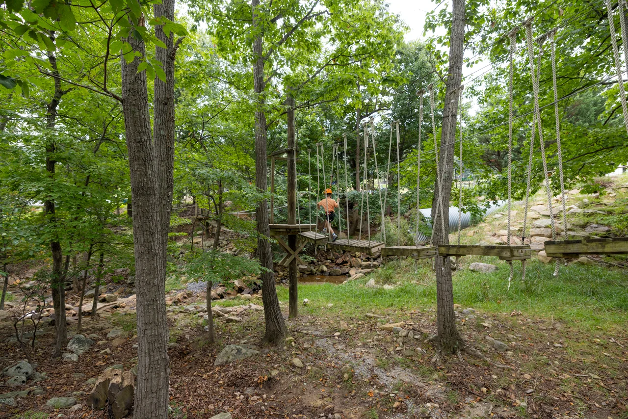 Massanutten kids adventure course child crossing suspended forest bridge wide