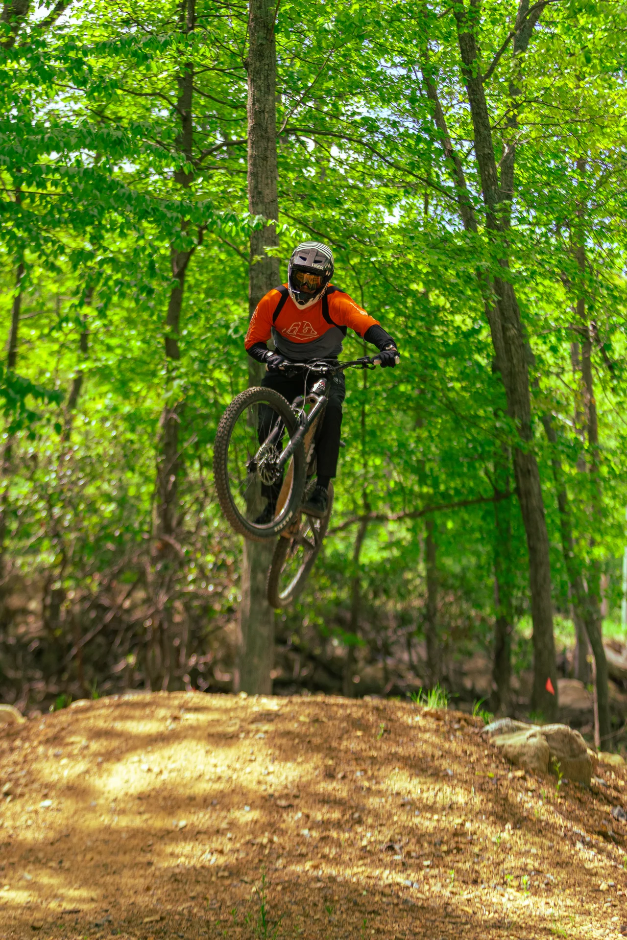 Massanutten mountain biking bike park mountain biker jumping forest trail 25