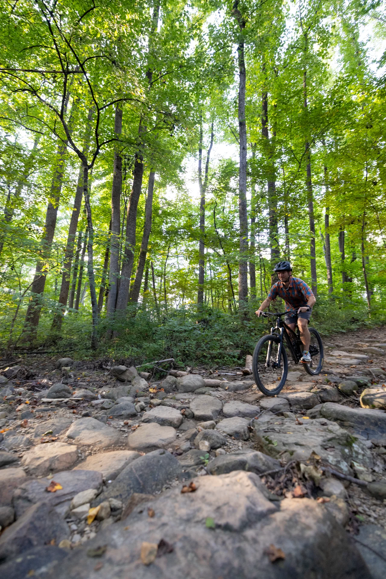Massanutten mountain biking biker rock garden forest portrait