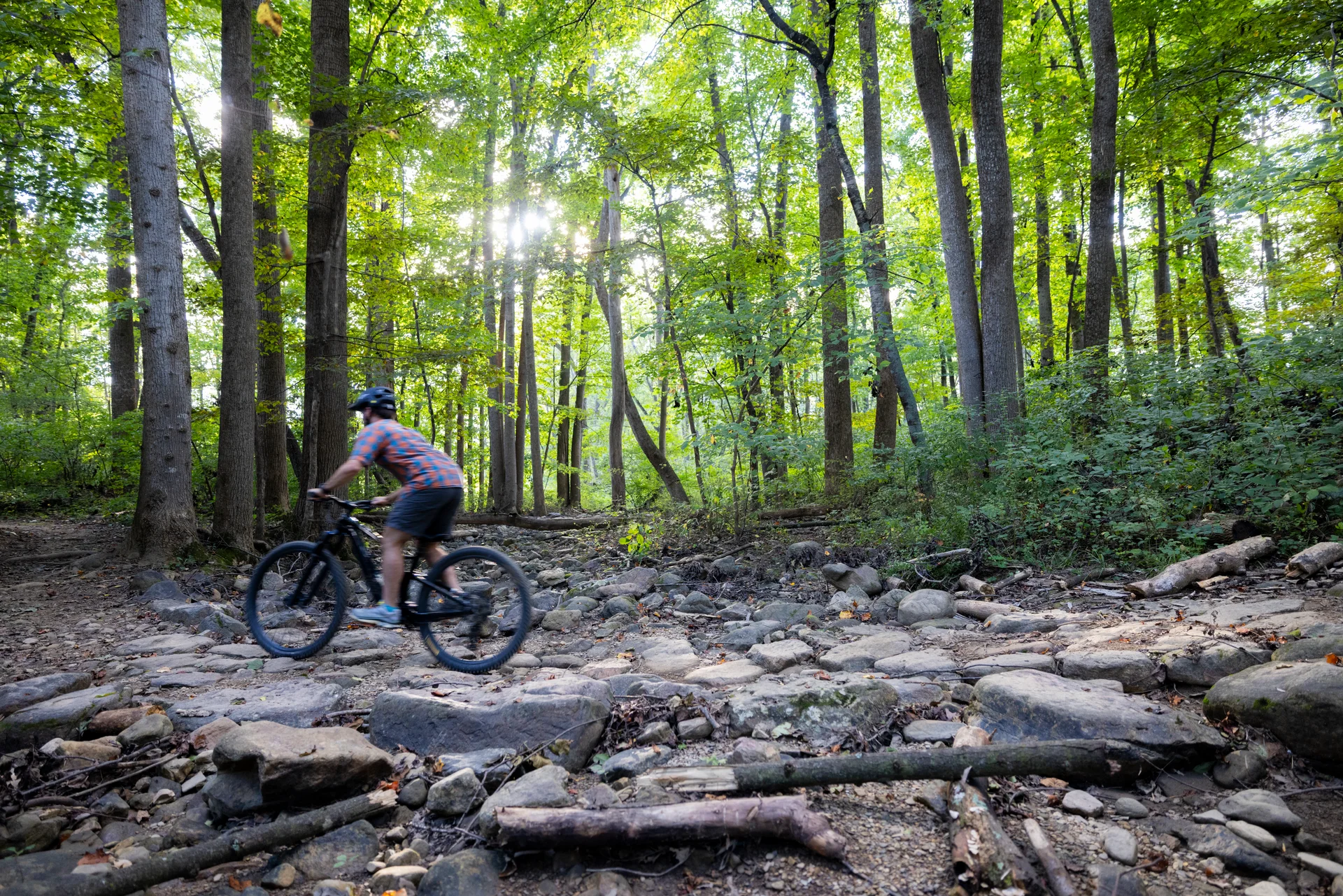 Massanutten mountain biking biker rocky forest trail side view
