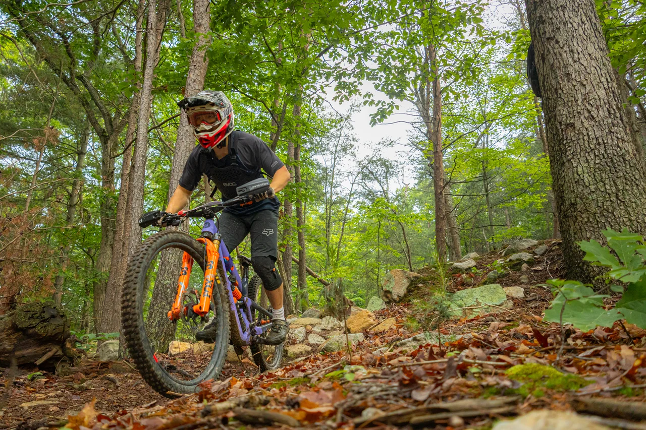 Massanutten mountain biking western slope three mountain bikers on mountain view trail 14