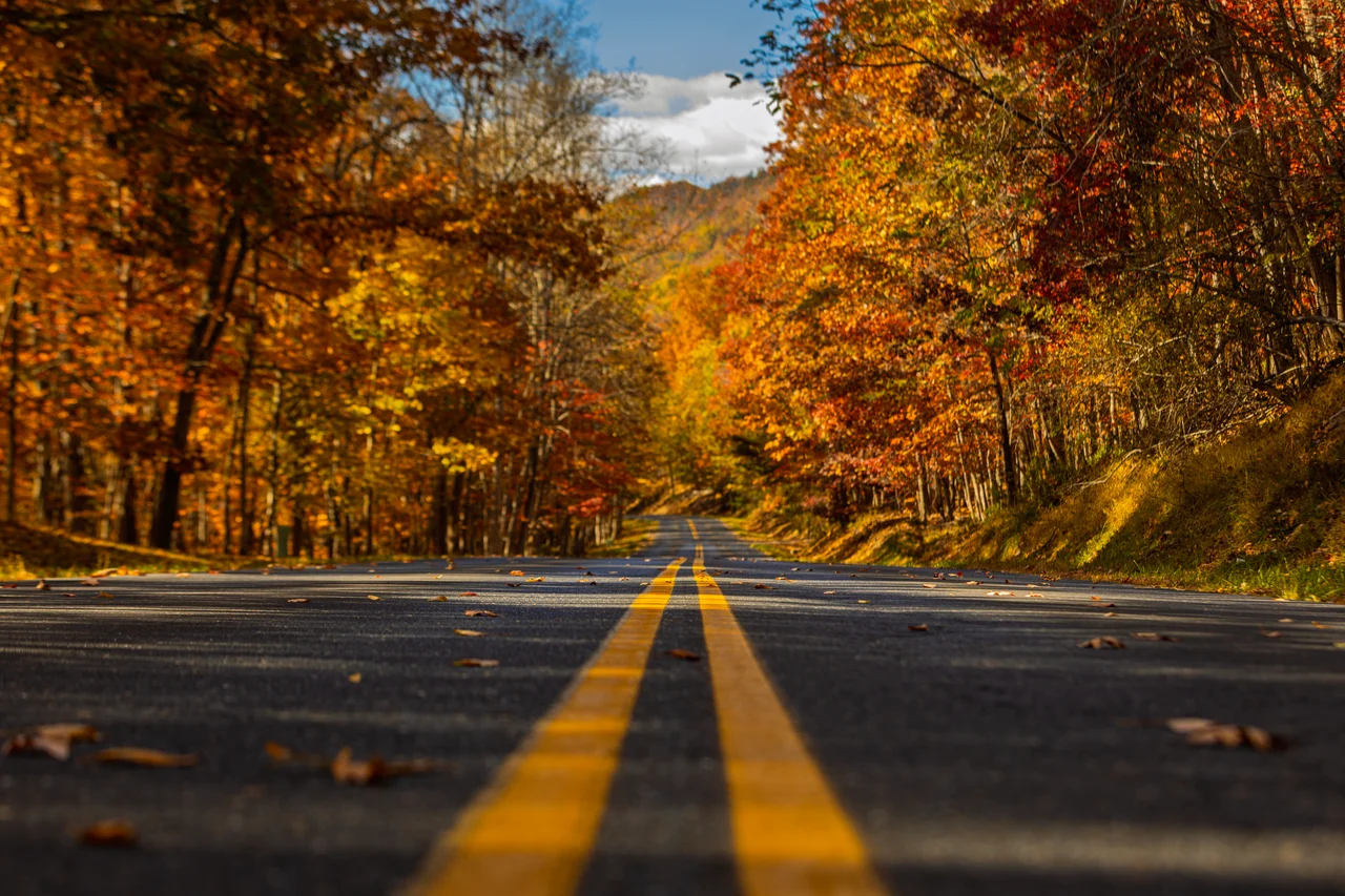 Massanutten scenic fall fall scenic road 13