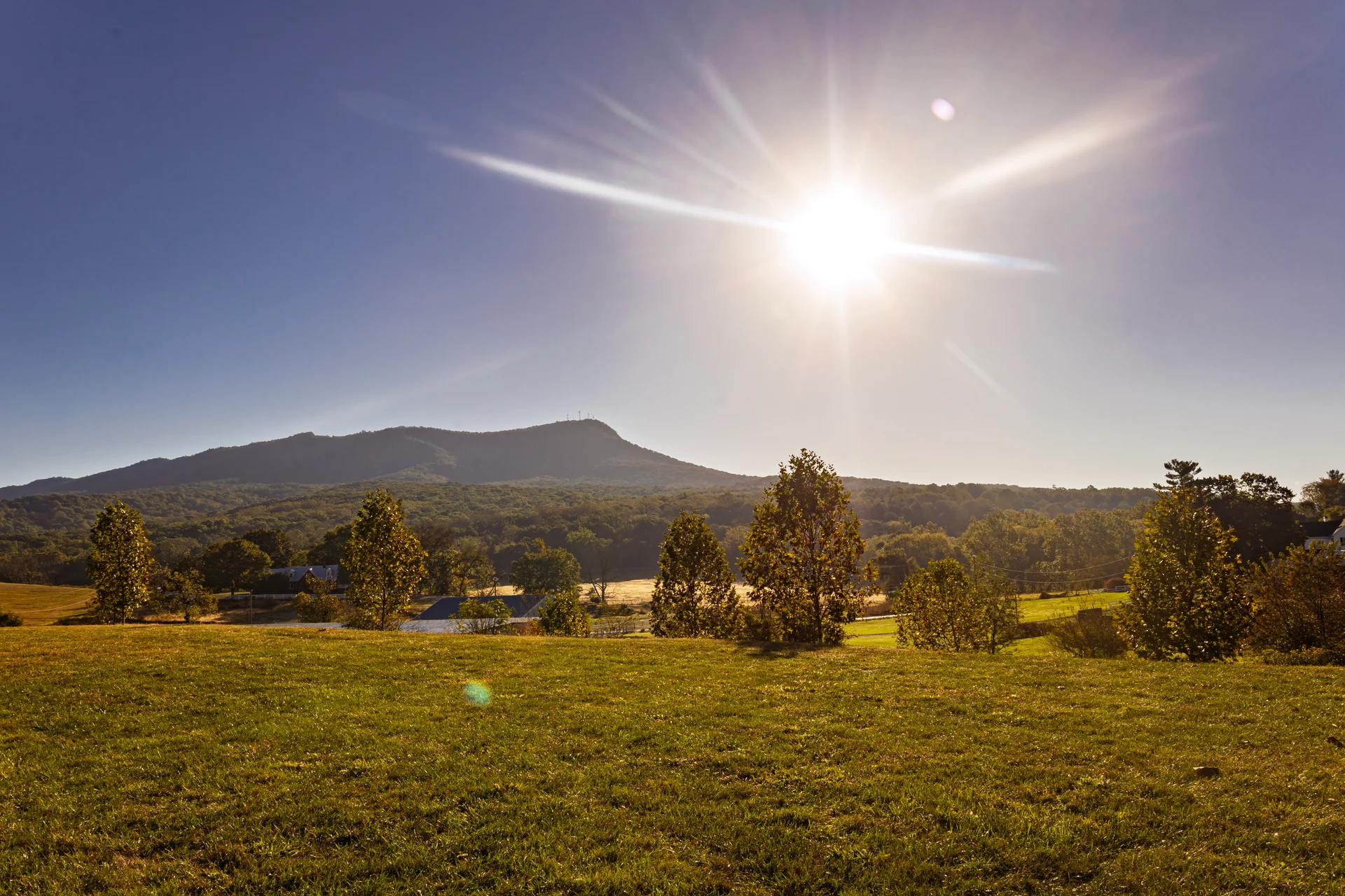 Massanutten scenic fall scenic mountain meadow fall 06