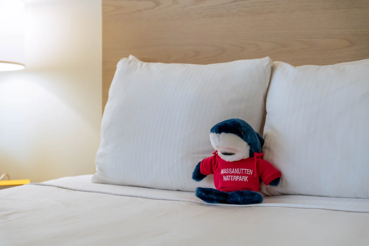 Massanutten shenandoah h2o waterpark two queen beds frog shark plush 073