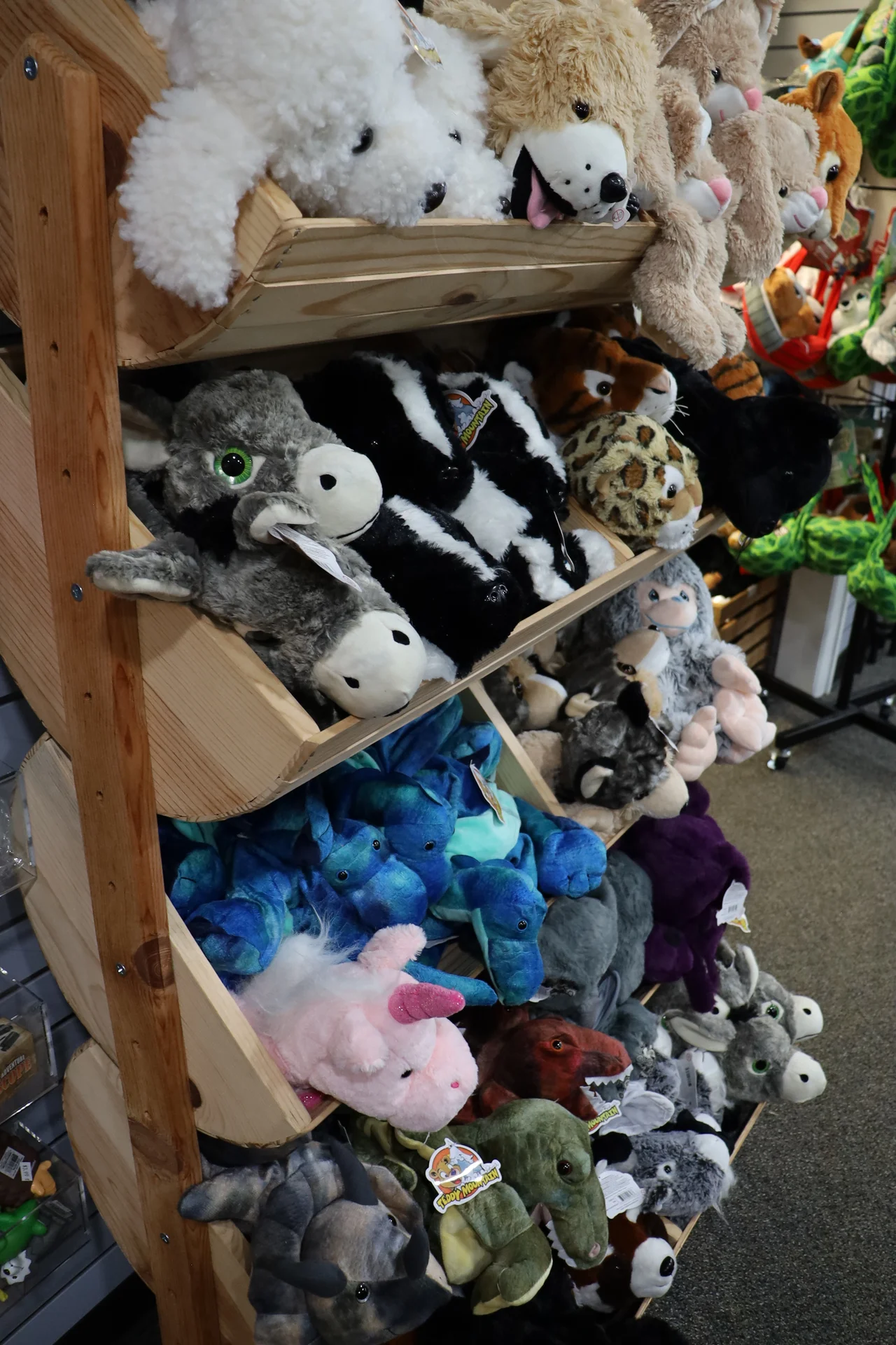 Massanutten the market teddy bear stuffed animal shelf 36